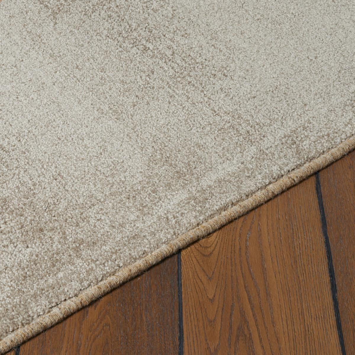 Carpet Rug - Neutral – image 2