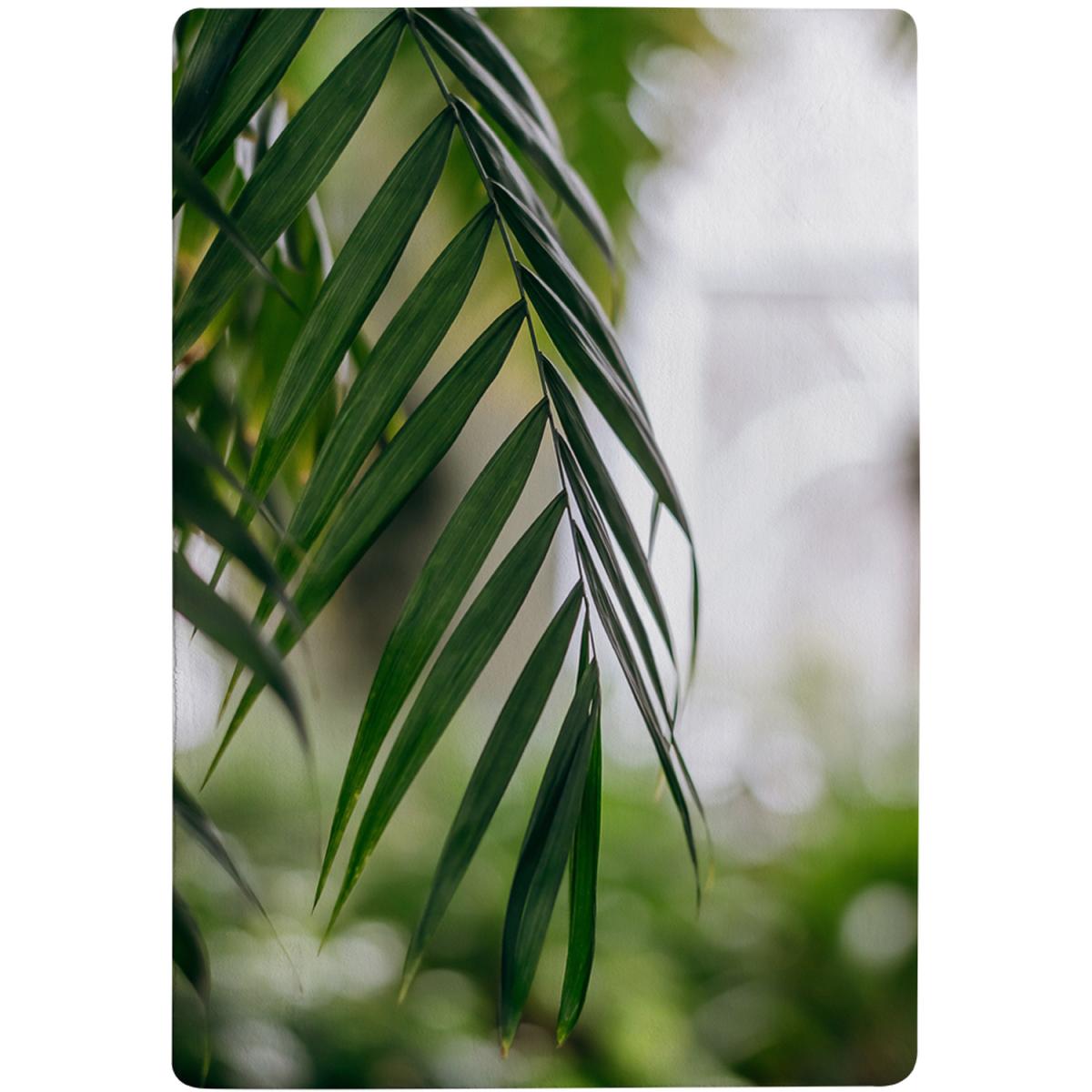 Closeup Of Green Palm Leaf Designer Rug - Green / 110cm – image 2