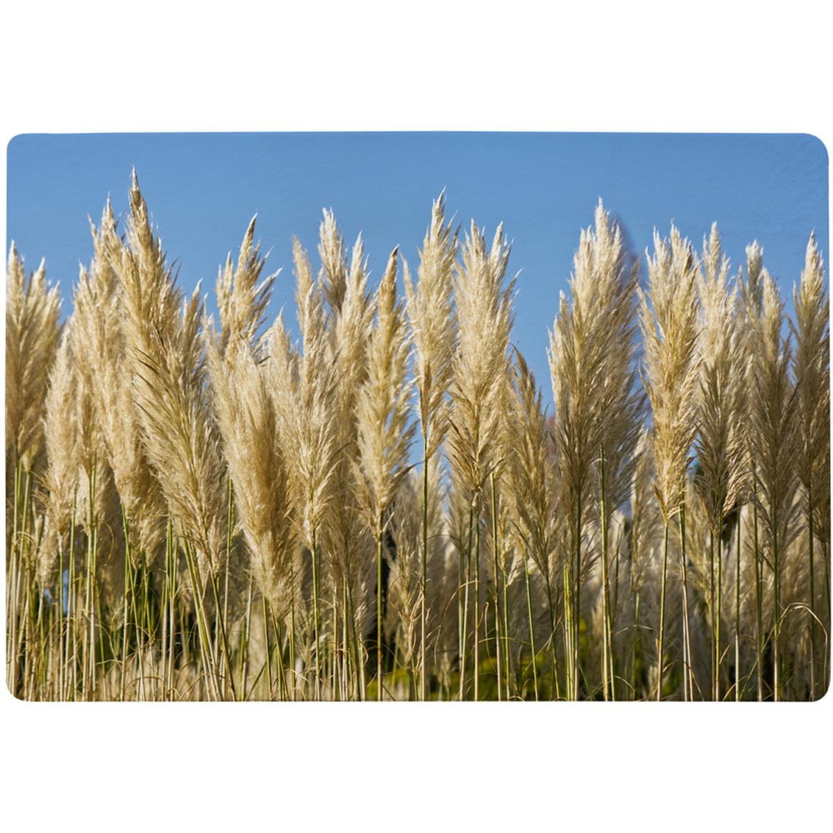 Pampus Grass Designer Rug - Yellow / 110cm – image 2