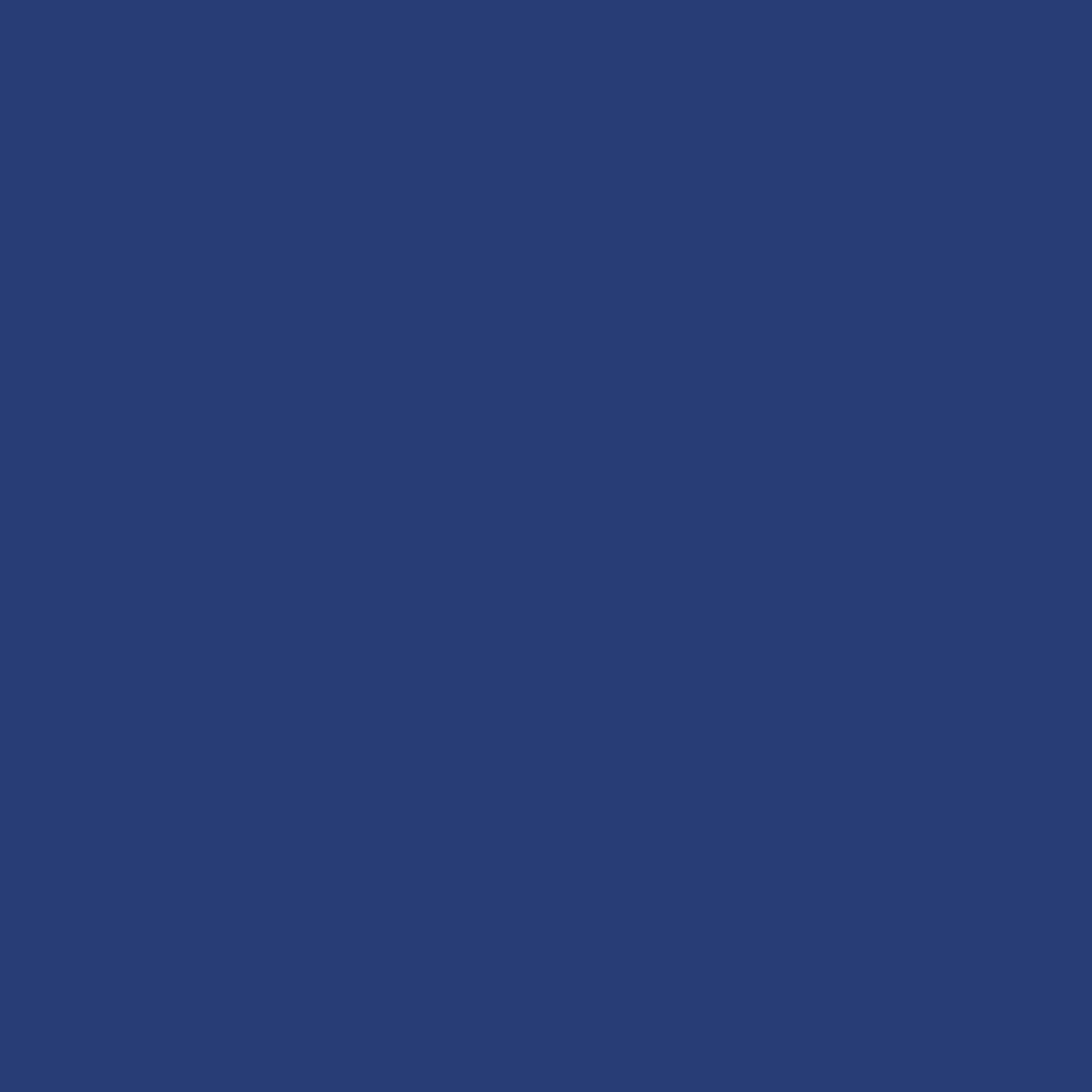 Nirvana Outdoor Rug 240x300cm Navy White Waterproof Mat Garden Camping Picnic - Navy/Blue/White – image 7