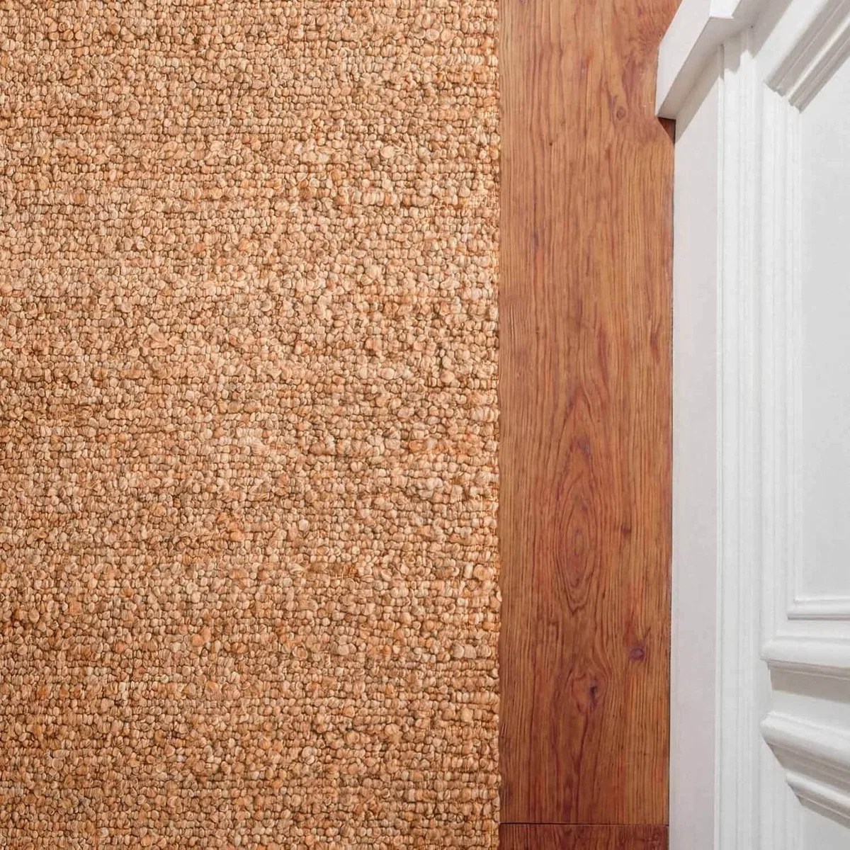 Ted Baker Portobello Polyester Plain Rug - Beige / 200 x 290cm - Beige / 170.0cm – image 10