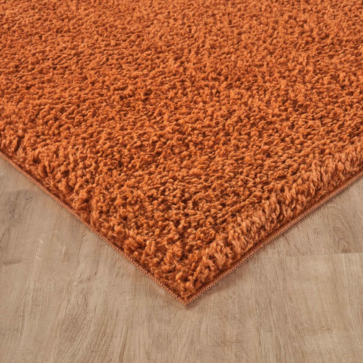 Ainsley Plain Living Room Shaggy Area Rug Modern Soft Pile Polyester Rug - Terracotta / 230cm – image 6