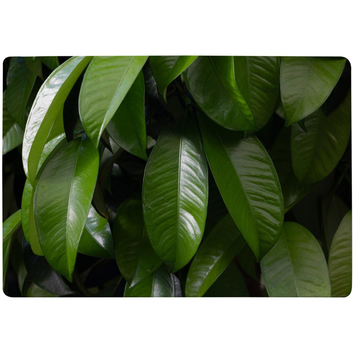 Closeup Of Beautiful Glossy Green Leaves Designer Rug - Green / 110cm – image 2