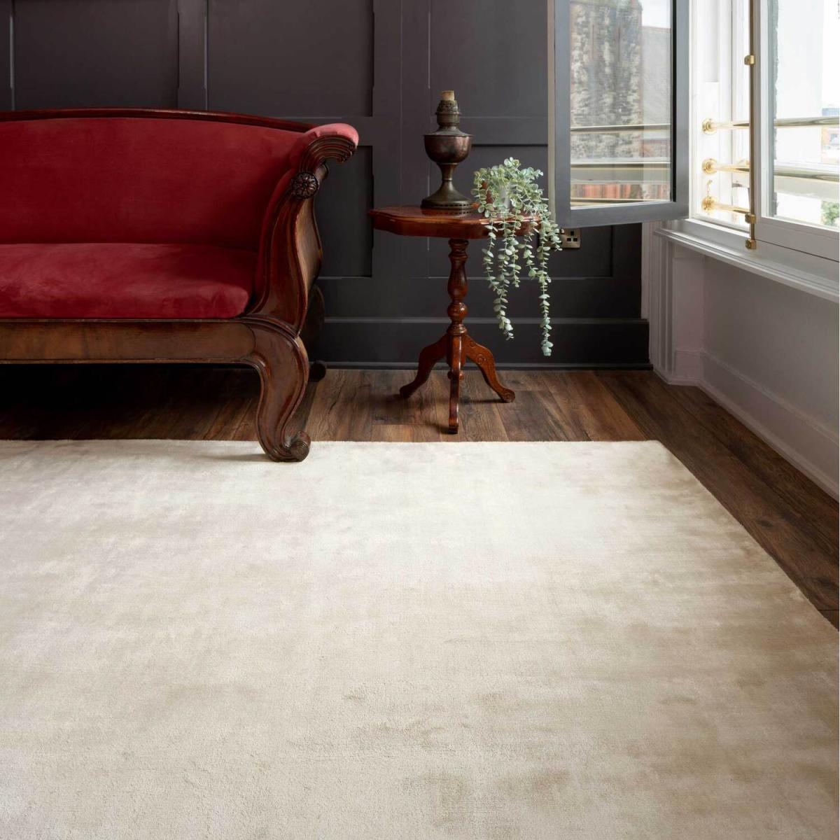 Neutral Cream Luxurious Viscose Area Rug - Cream / 170 x 120cm – image 6