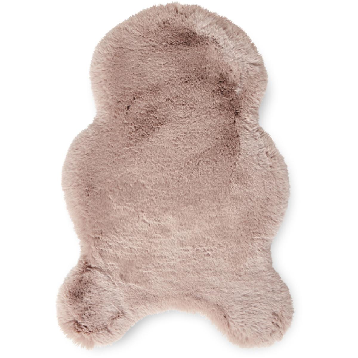 Super Teddy Rose - Rose / 60x90 – image 5