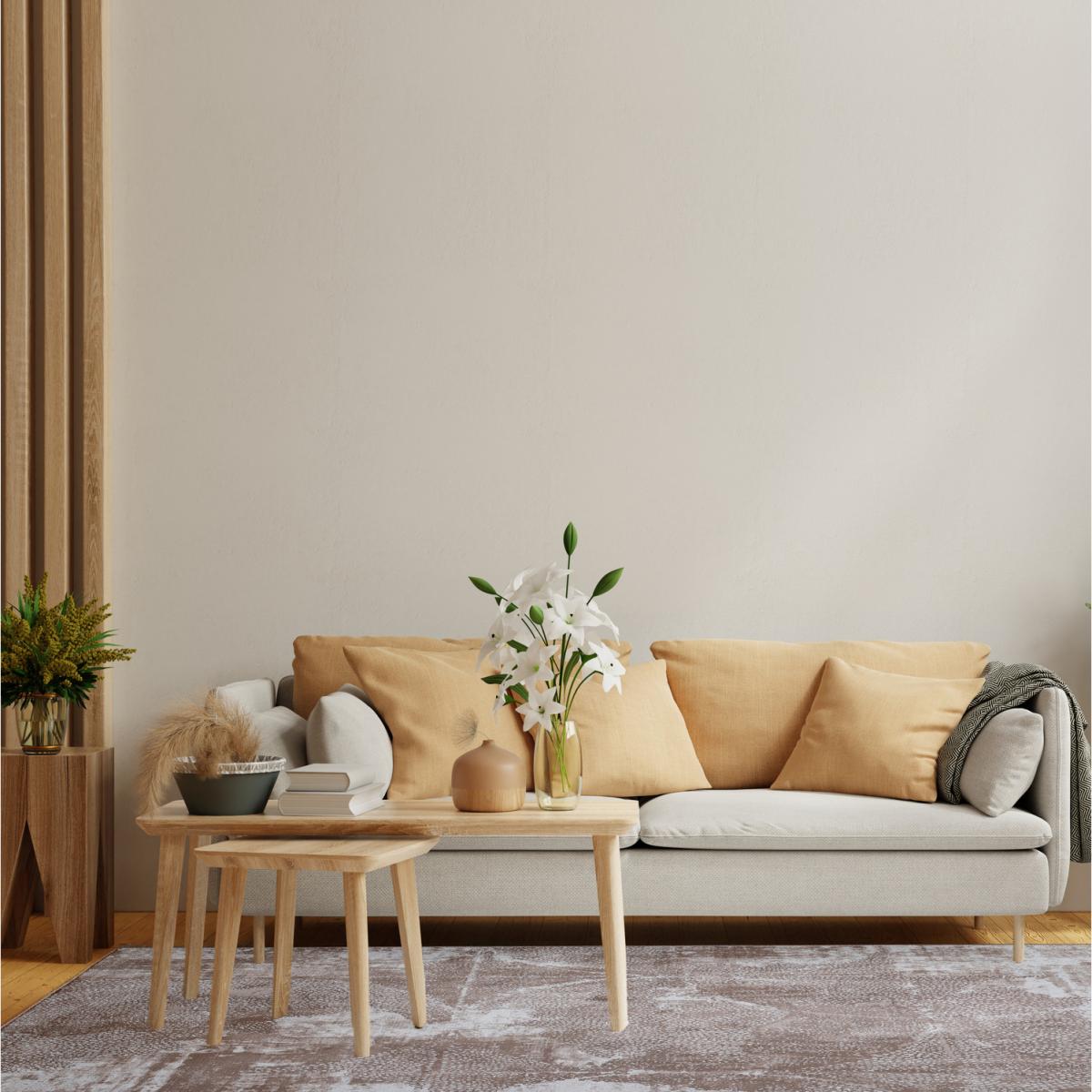 Bohemian Area Rug Modern, Soft Durable - Boho-Chic Beige / 225.0cm