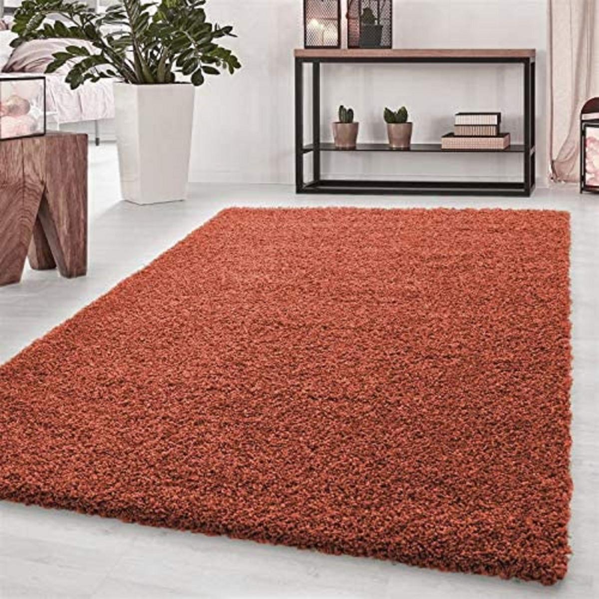 Abaseen Terracotta Shaggy Rug Rectangular Soft Touch Thick Pile - Terracotta / 230cm – image 1