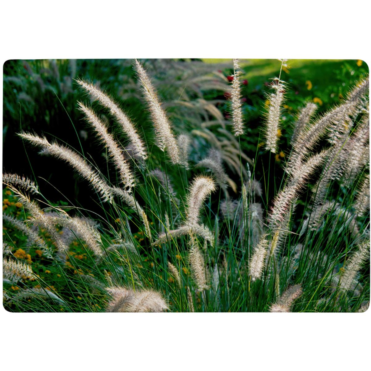 Decorative Cat Tail Grass Growing Along A Walkway Designer Rug - Green / 110cm – image 2