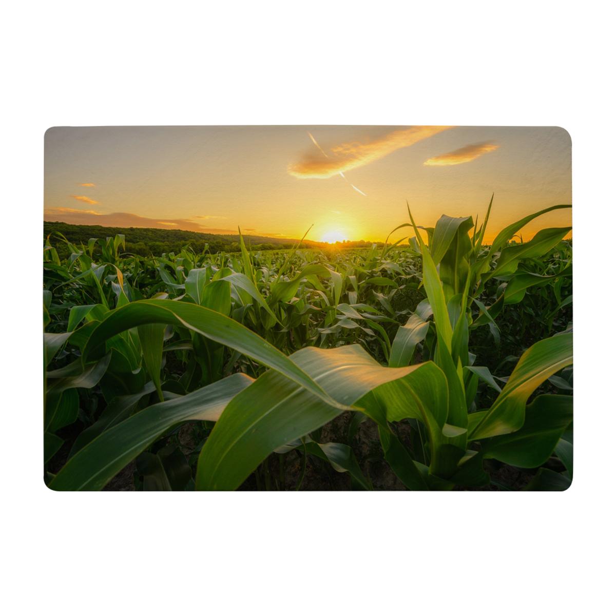 Field At Sunset Designer Rug Designer Rug - Green / 200cm – image 1