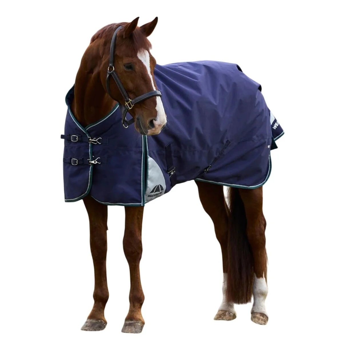 Weatherbeeta Comfitec Plus Dynamic Standard-Neck 100g Horse Turnout Rug - Navy/Forest Green / Cotton – image 3
