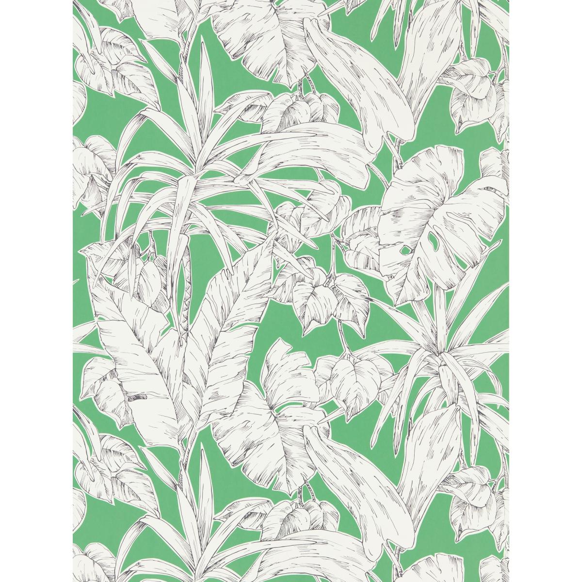 Parlour Palm Wallpaper 112024 by Scion in Gecko Green&nbsp;Roll – image 3