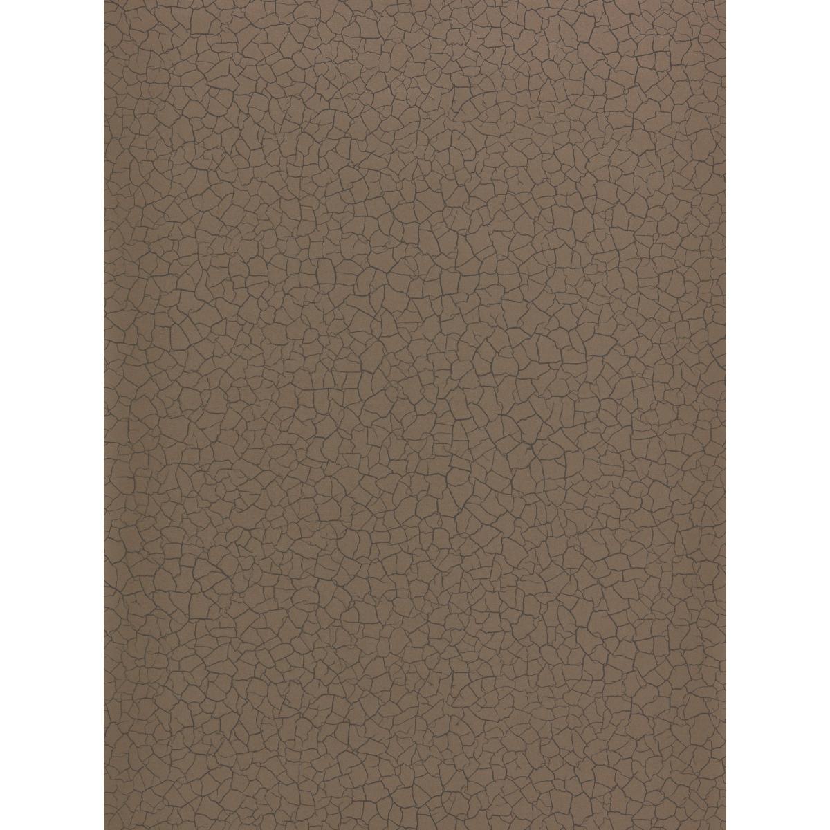 Cracked Earth Wallpaper 312529 by Zoffany in Bronze Brown&nbsp;Roll – image 5