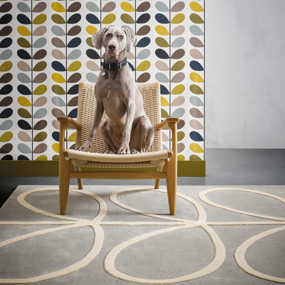 Giant Linear Stem Modern Wool Rugs 59404 in Grey by Orla Kiely 200x280cm – image 2