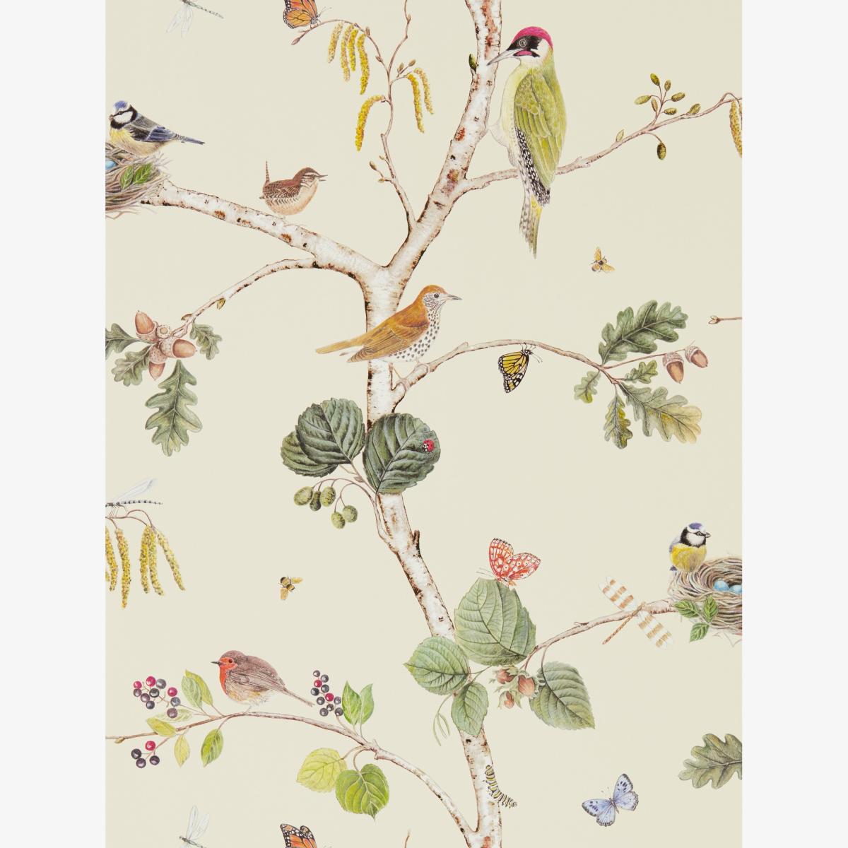 Woodland Chorus Wallpaper 215703 by Sanderson in Cream Roll – image 1
