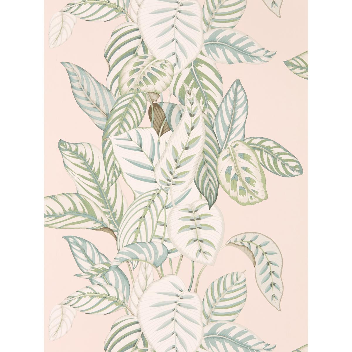 Calathea Wallpaper 216632 by Sanderson in Orchid Eucalyptus&nbsp;Roll – image 2