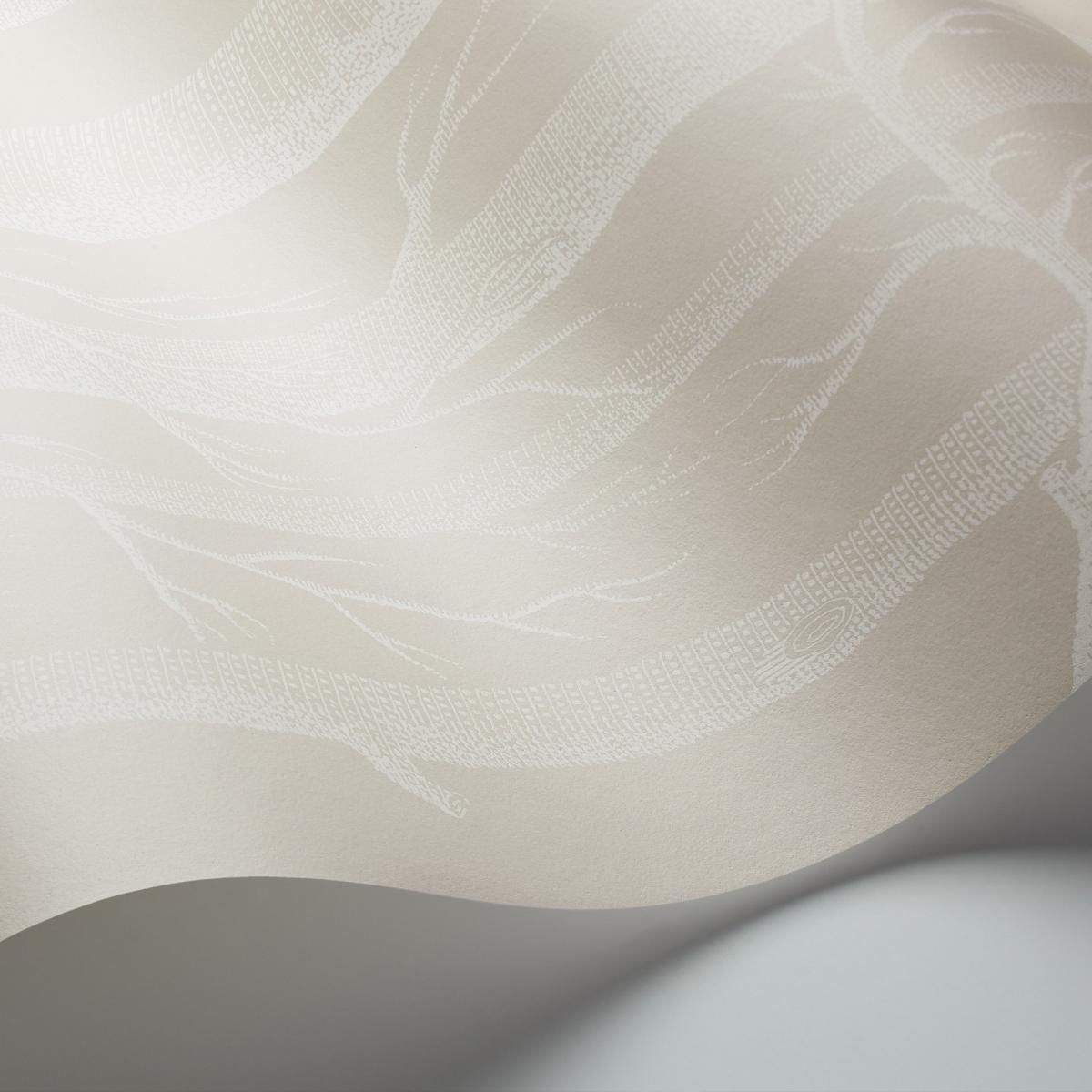 Woods Wallpaper 3010 by Cole & Son in Stone WhiteRoll