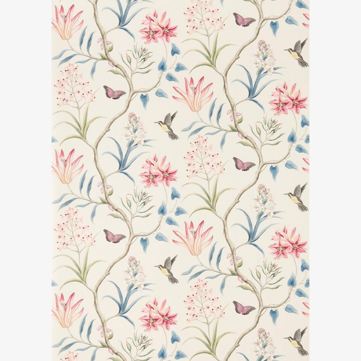 Clementine Wallpaper 213387 by Sanderson in Indienne Multi Roll