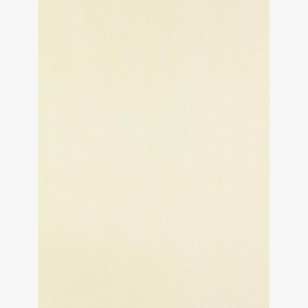 Lint Textured Wallpaper 112091 by Harlequin in Sesame White Roll