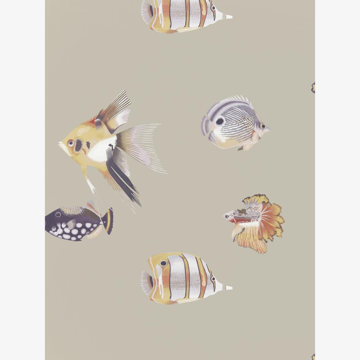 Kamanu Wallpaper 111647 by Harlequin in Mandarin Fig Roll