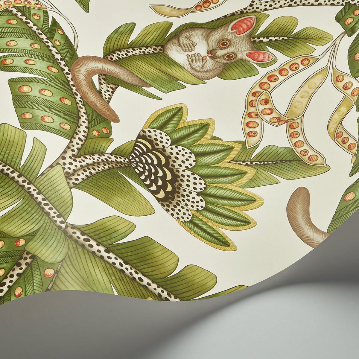 Bush Baby Wallpaper 119 7032 by Cole & Son in Spring Green Roll – image 2