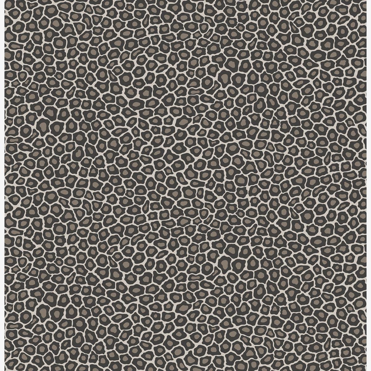 Senzo Spot Wallpaper 6031 by Cole & Son in Soot SnowRoll