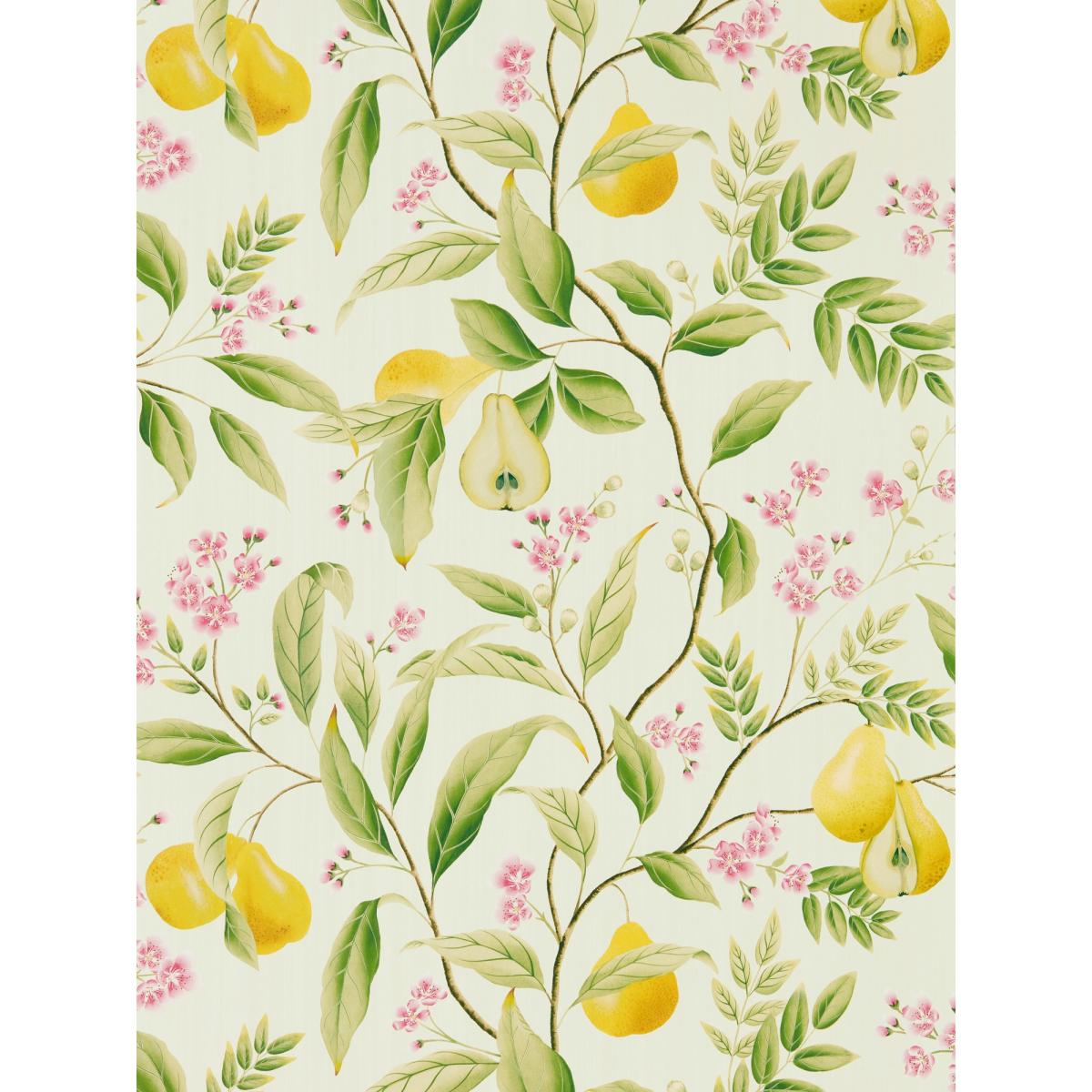 Marie Wallpaper 112909 by Harlequin in Fig Leaf Honey BlossomRoll – image 5