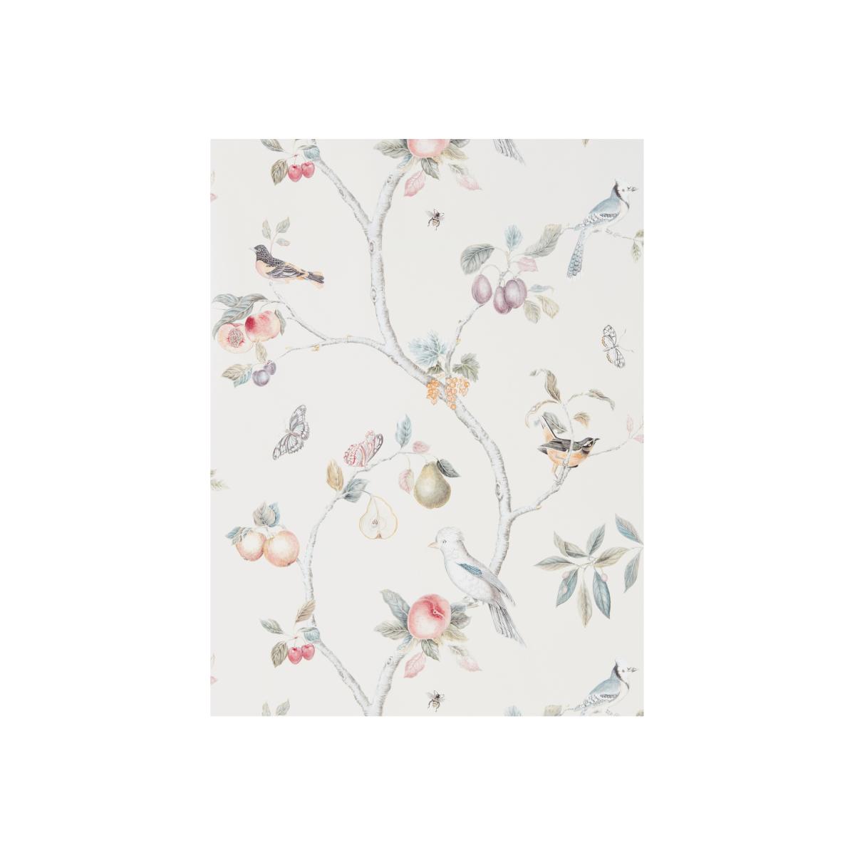 Fruit Aviary Wallpaper 216314 by Sanderson in Cream MultiRoll