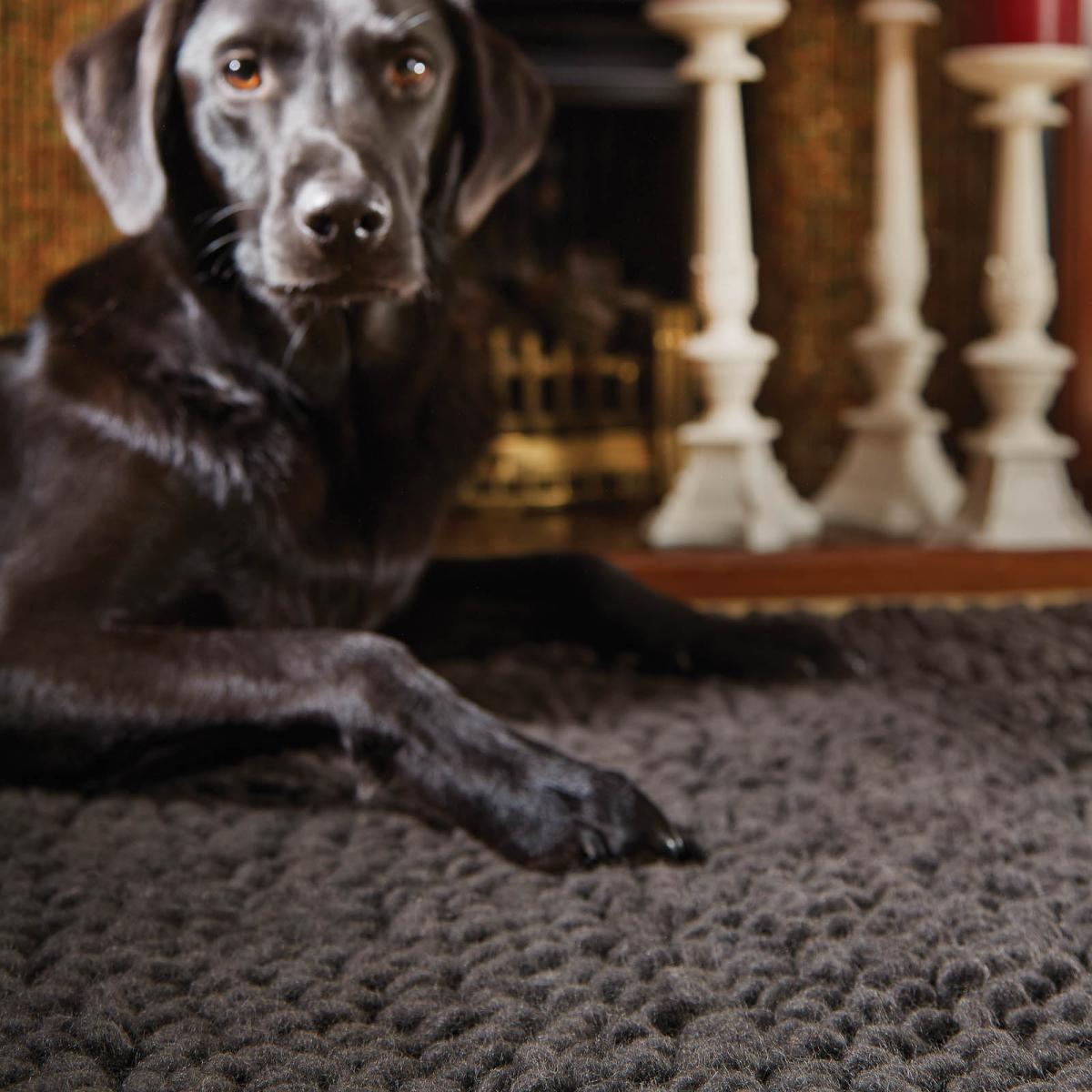 Union Wool Rugs in Fossil – image 2