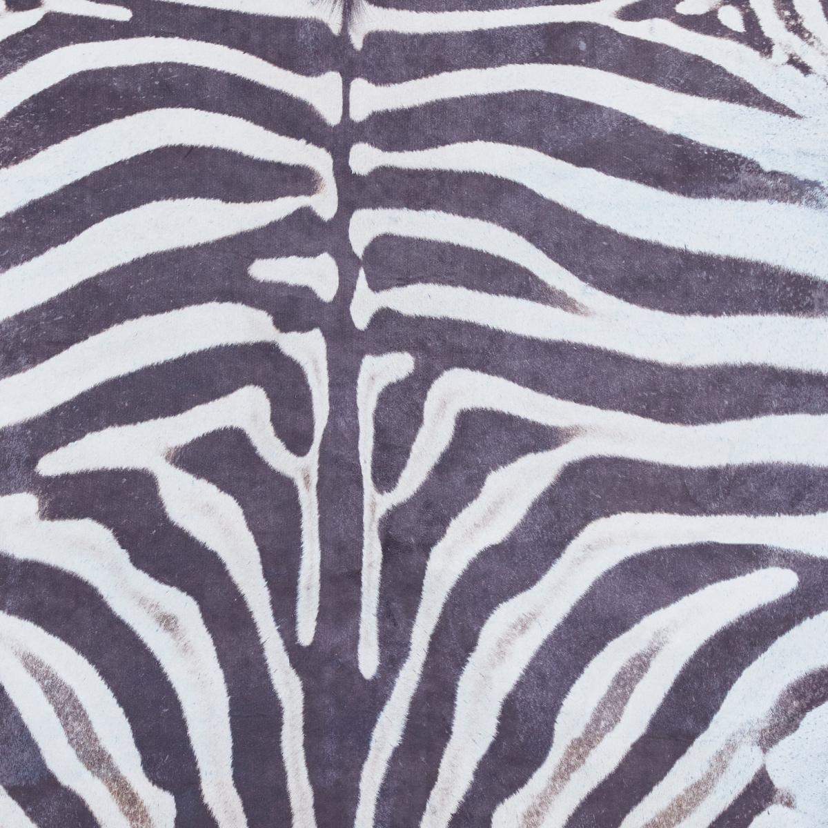 Faux Zebra Print Rug in Black White – image 2