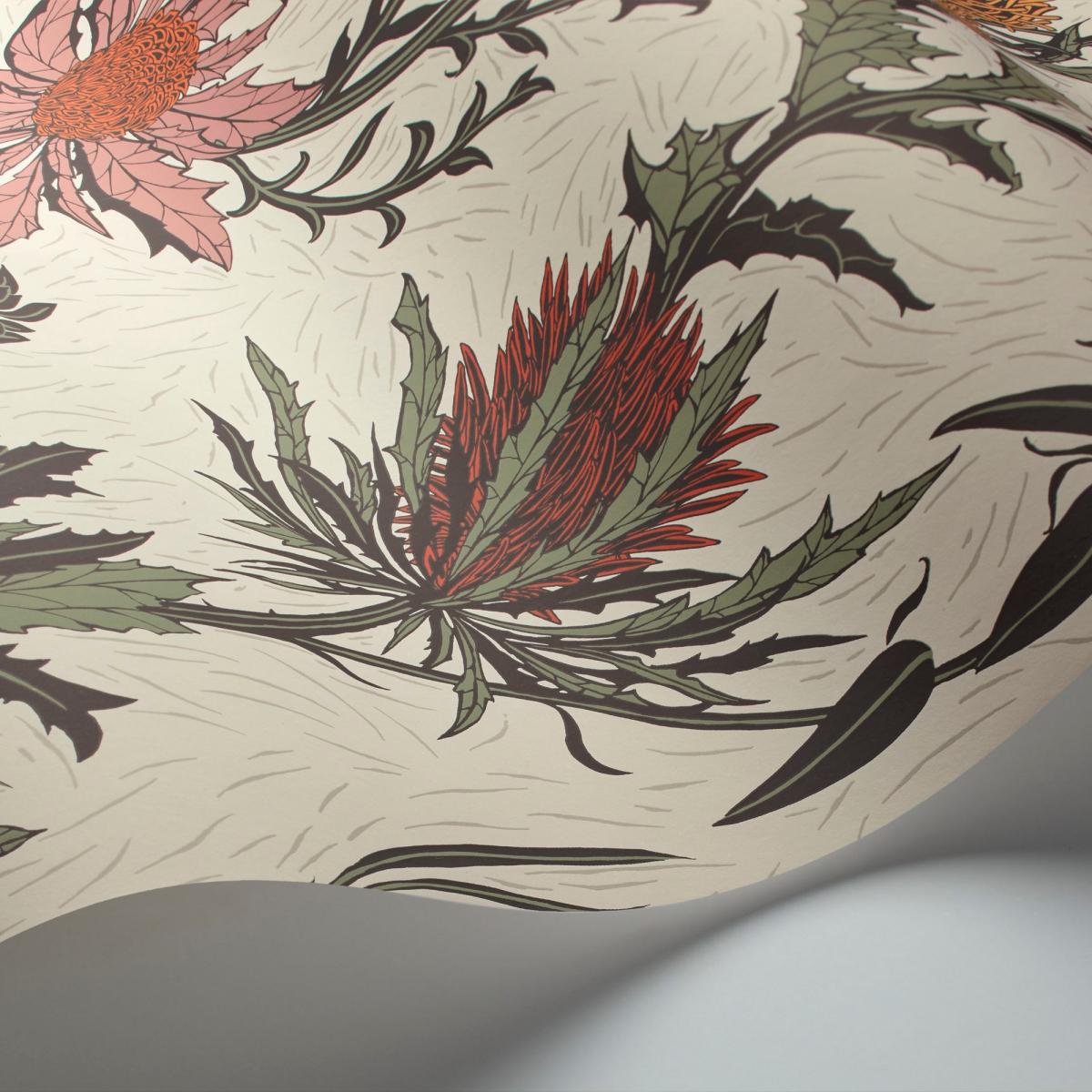 Thistle Wallpaper 14043 by Cole & Son in Alabaster Pink Orange Roll – image 2