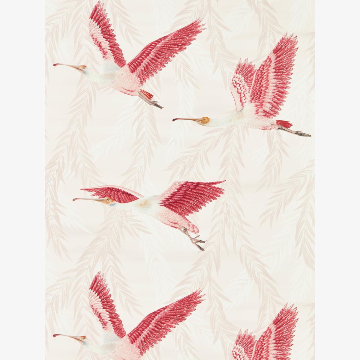 Valentina Wallpaper 112911 by Harlequin in Blush Blossom Roll – image 1