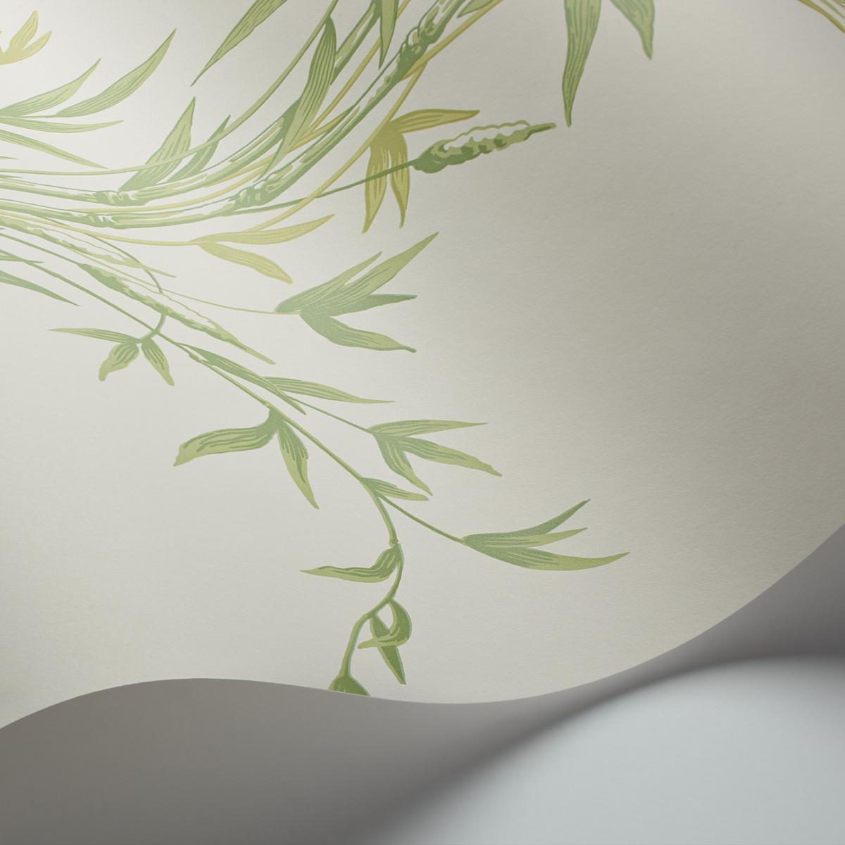 Bamboo Wallpaper 100 5023 by Cole & Son in Green Roll – image 2