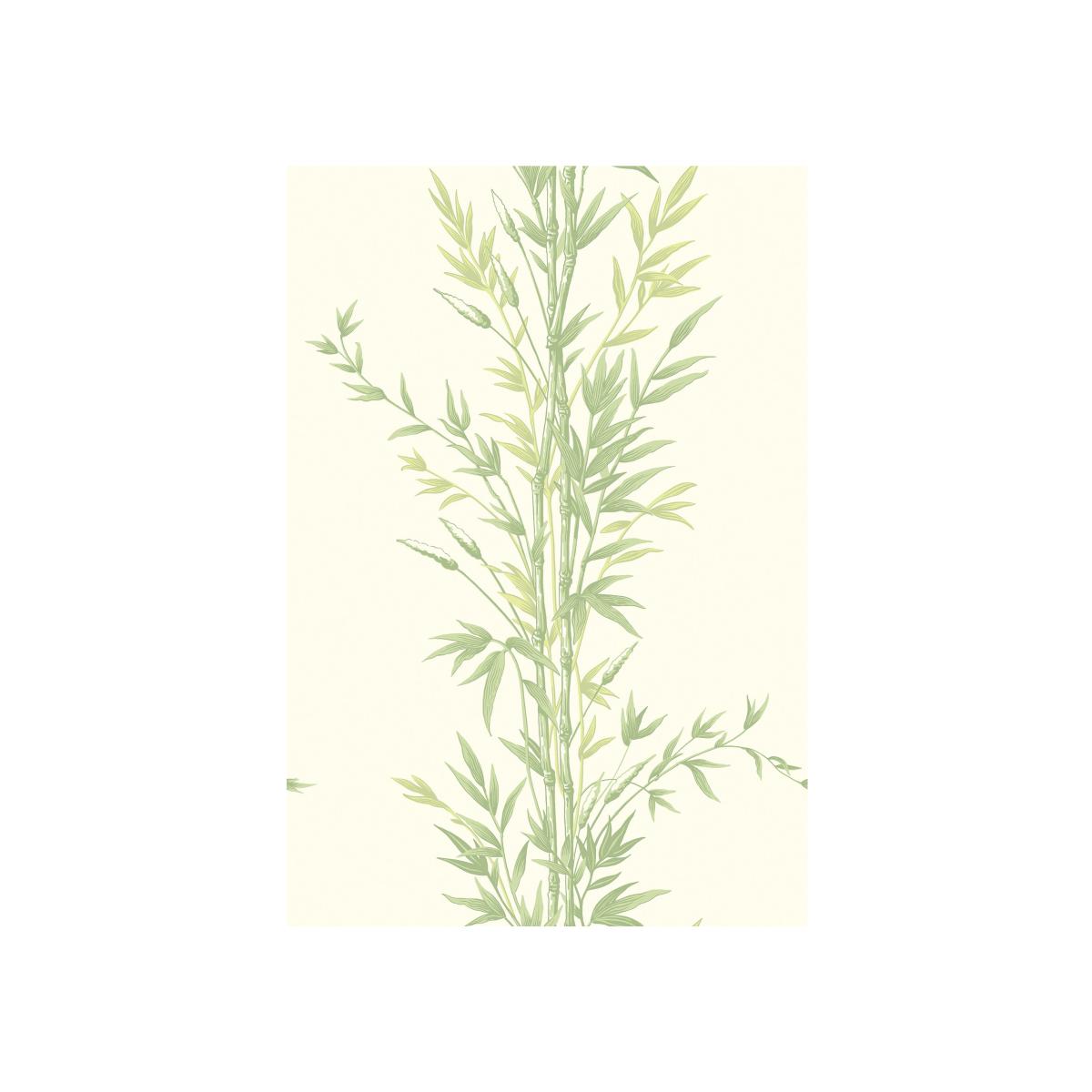 Bamboo Wallpaper 100 5023 by Cole & Son in Green Roll – image 1