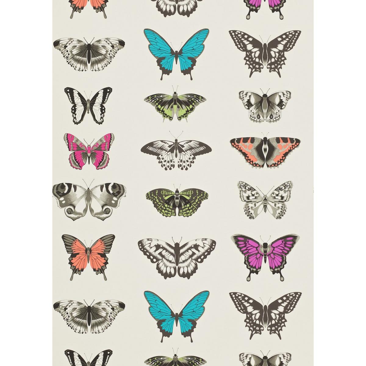 Papilio Wallpaper 111079 by Harlequin in Flamingo Papaya Orange Roll – image 2