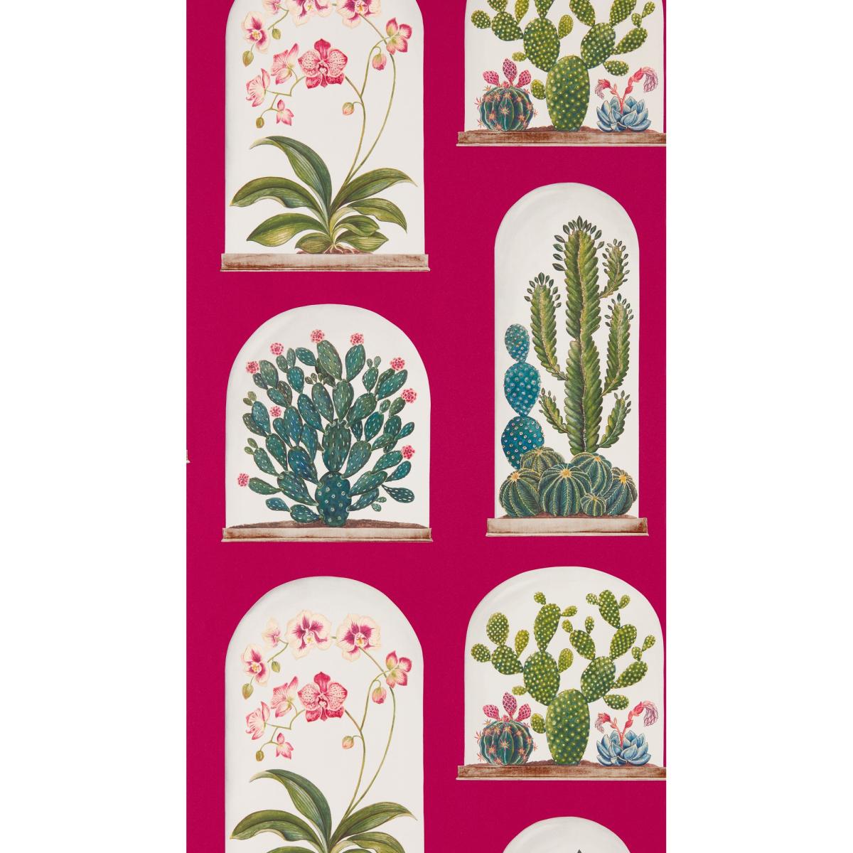 Terrariums Wallpaper 216657 by Sanderson in Rhodera Multi Roll – image 2