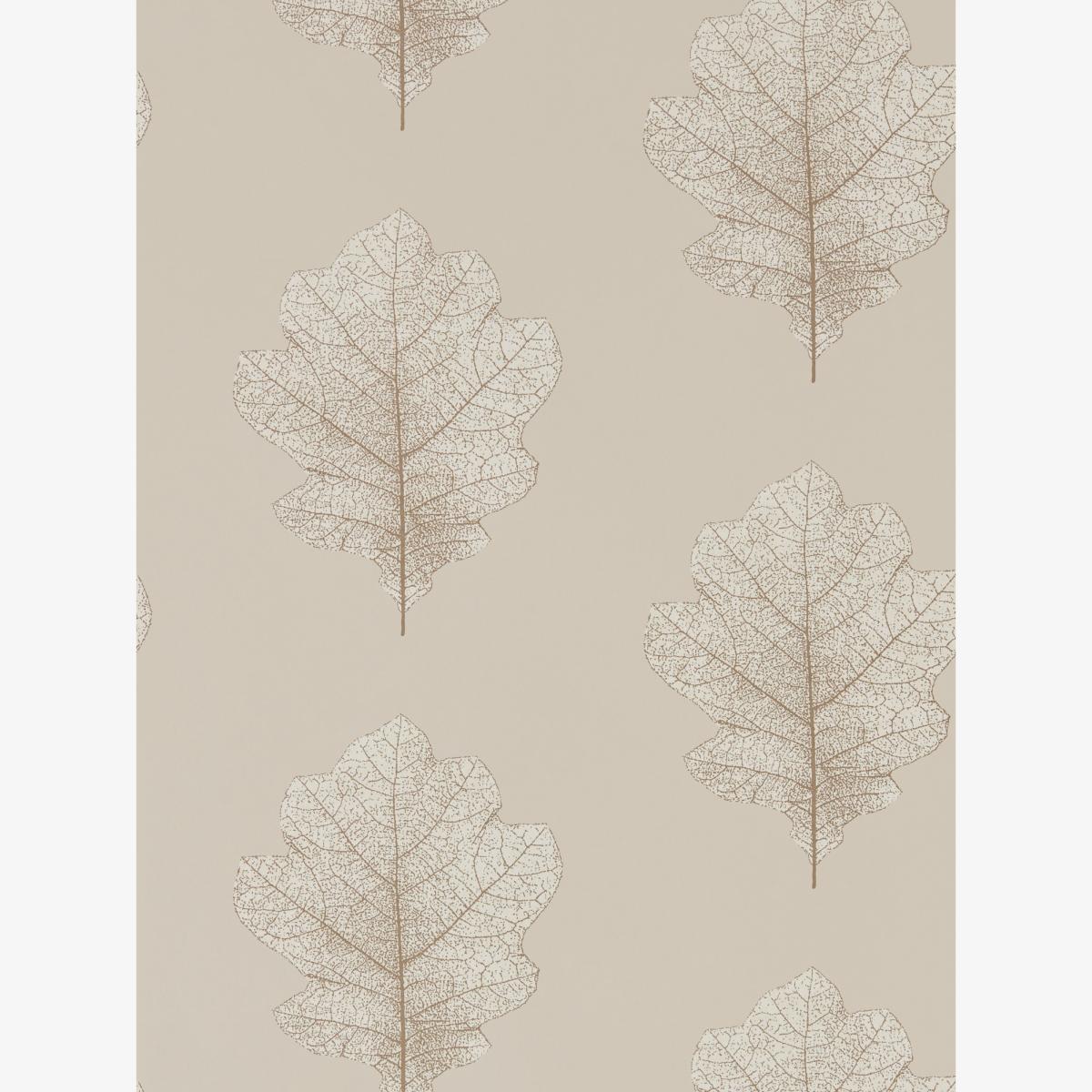 Oak Filigree Wallpaper 215698 by Sanderson in Stone Gilver Roll