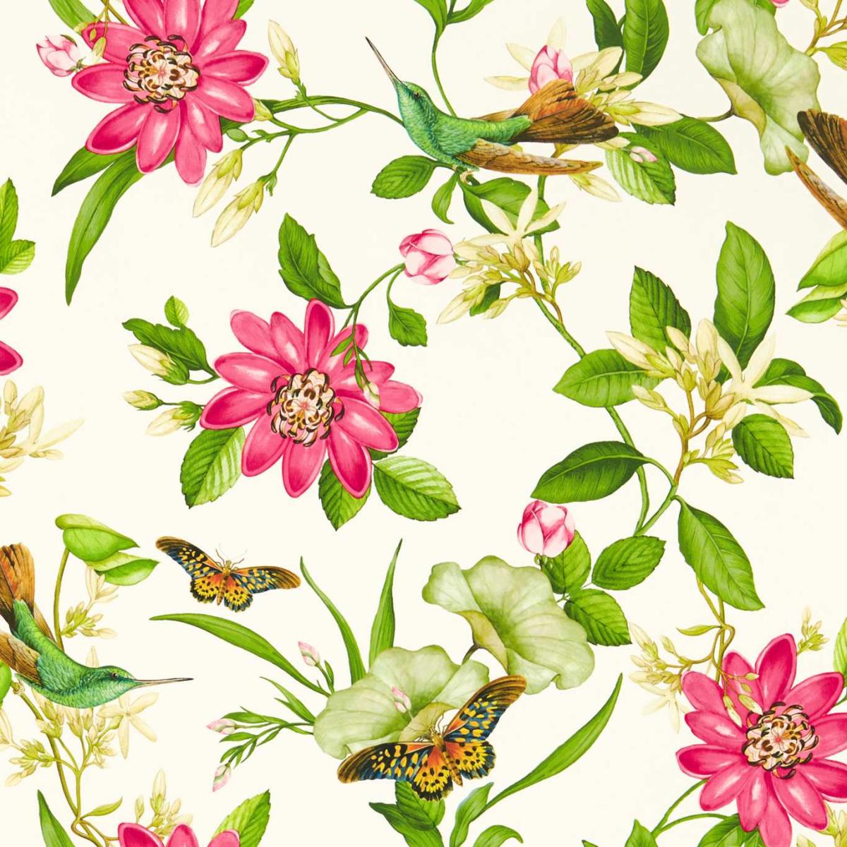 Pink Lotus Wallpaper W0132 02 by Wedgwood in Ivory White Roll – image 4