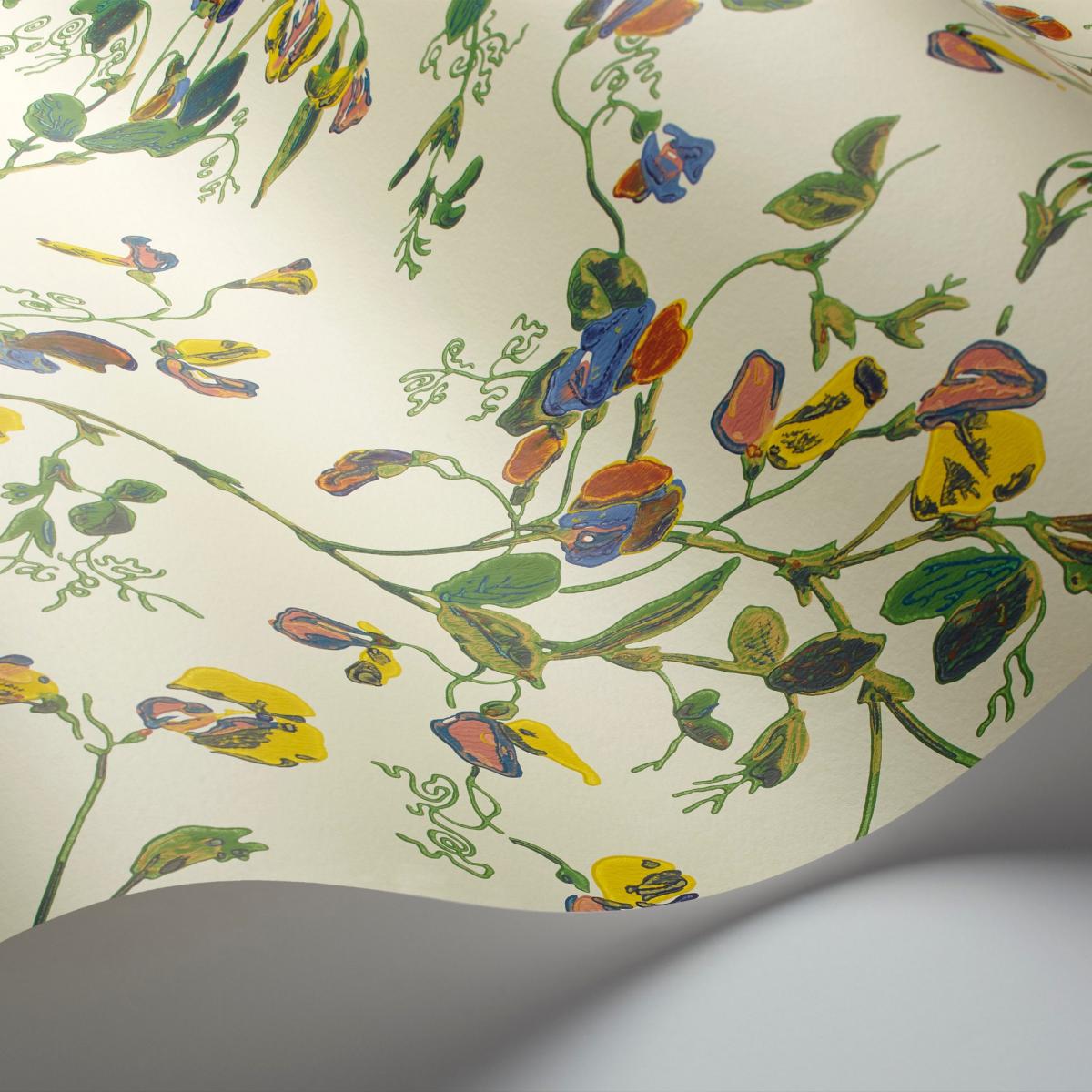 Sweet Pea Wallpaper 115 11032 by Cole & Son in Cream Multi Roll – image 2