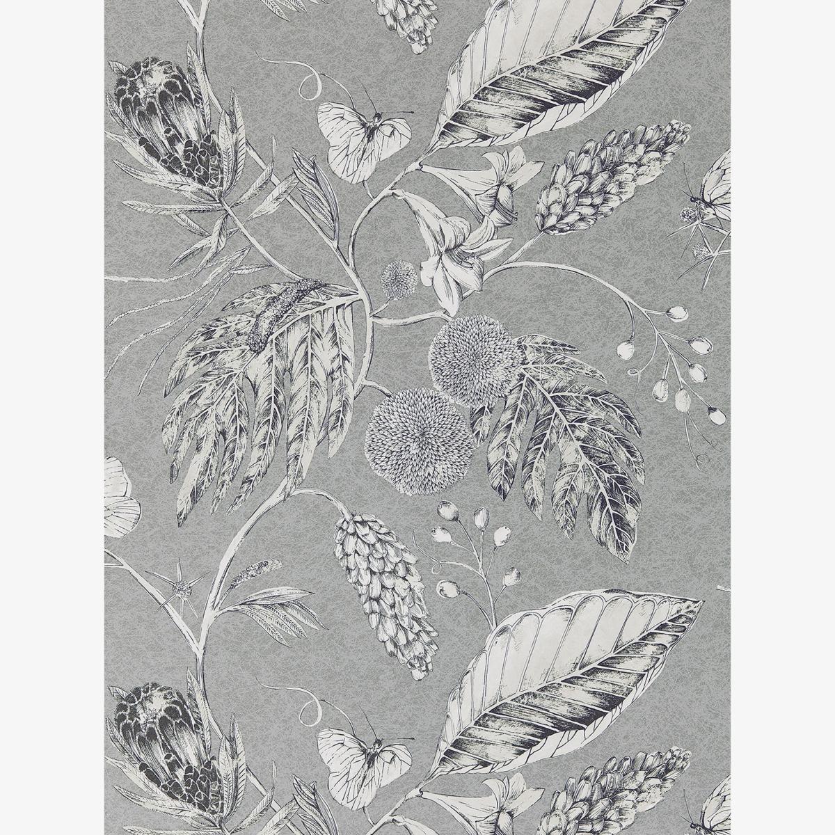 Amborella Wallpaper 111223 by Harlequin in Steel Grey Roll