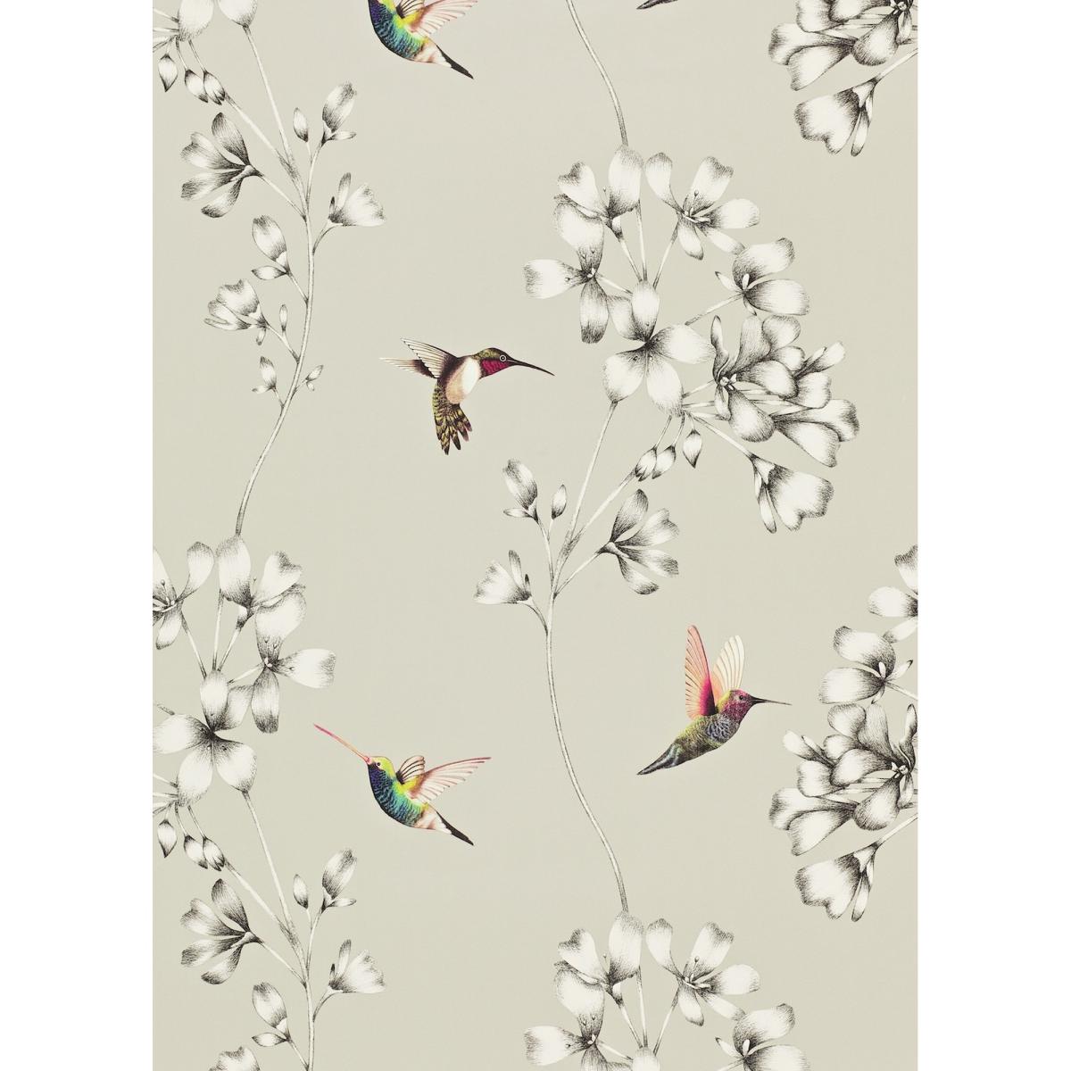 Amazilia Floral 111062 Wallpaper by Harlequin in Silver Grey Roll – image 2
