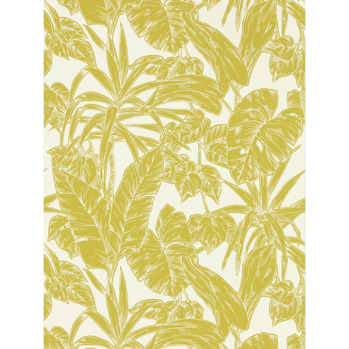 Parlour Palm Wallpaper 112022 by Scion in Citrus Yellow Roll
