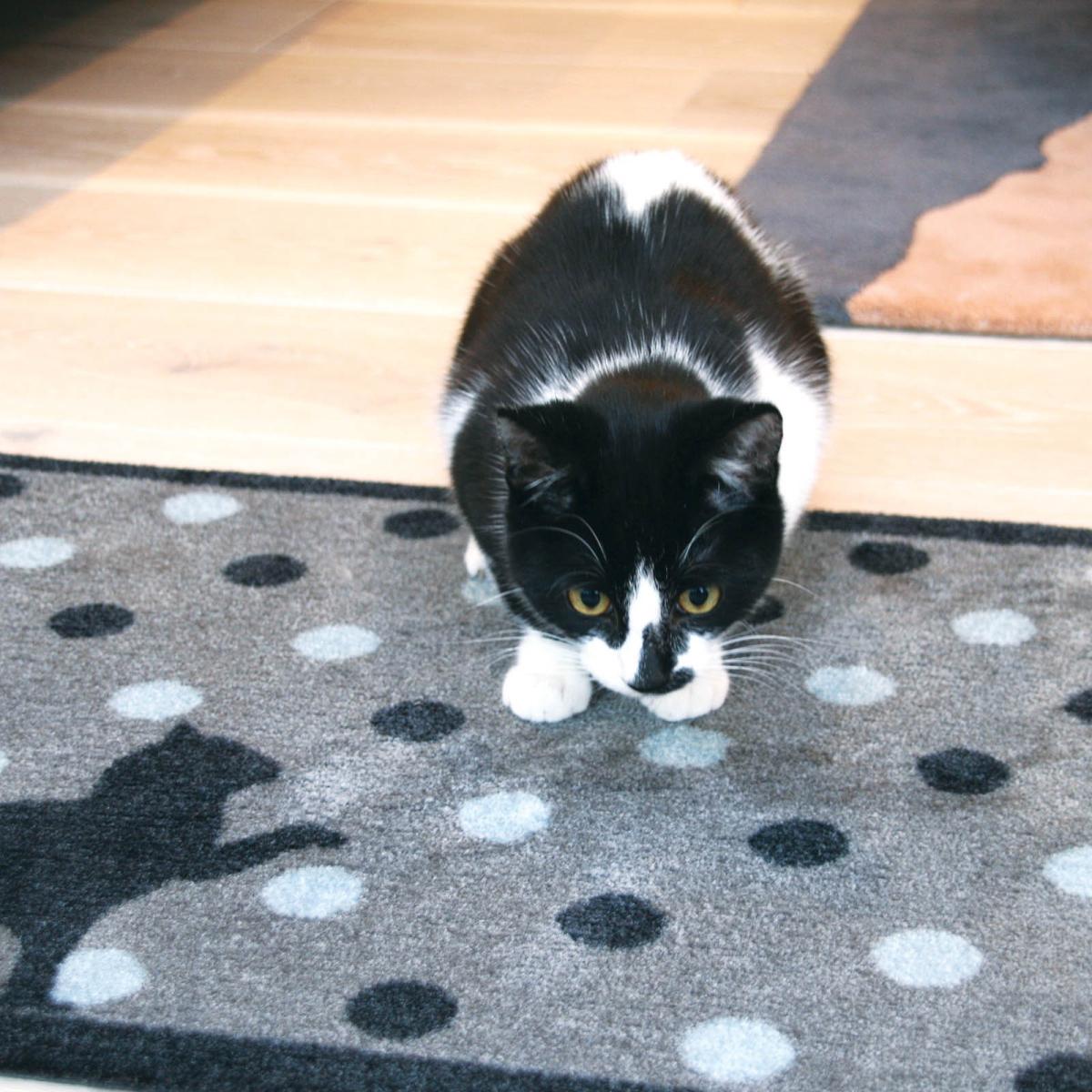 Cat Spot Mats 1 by Howler & Scratch 50x75cm – image 1