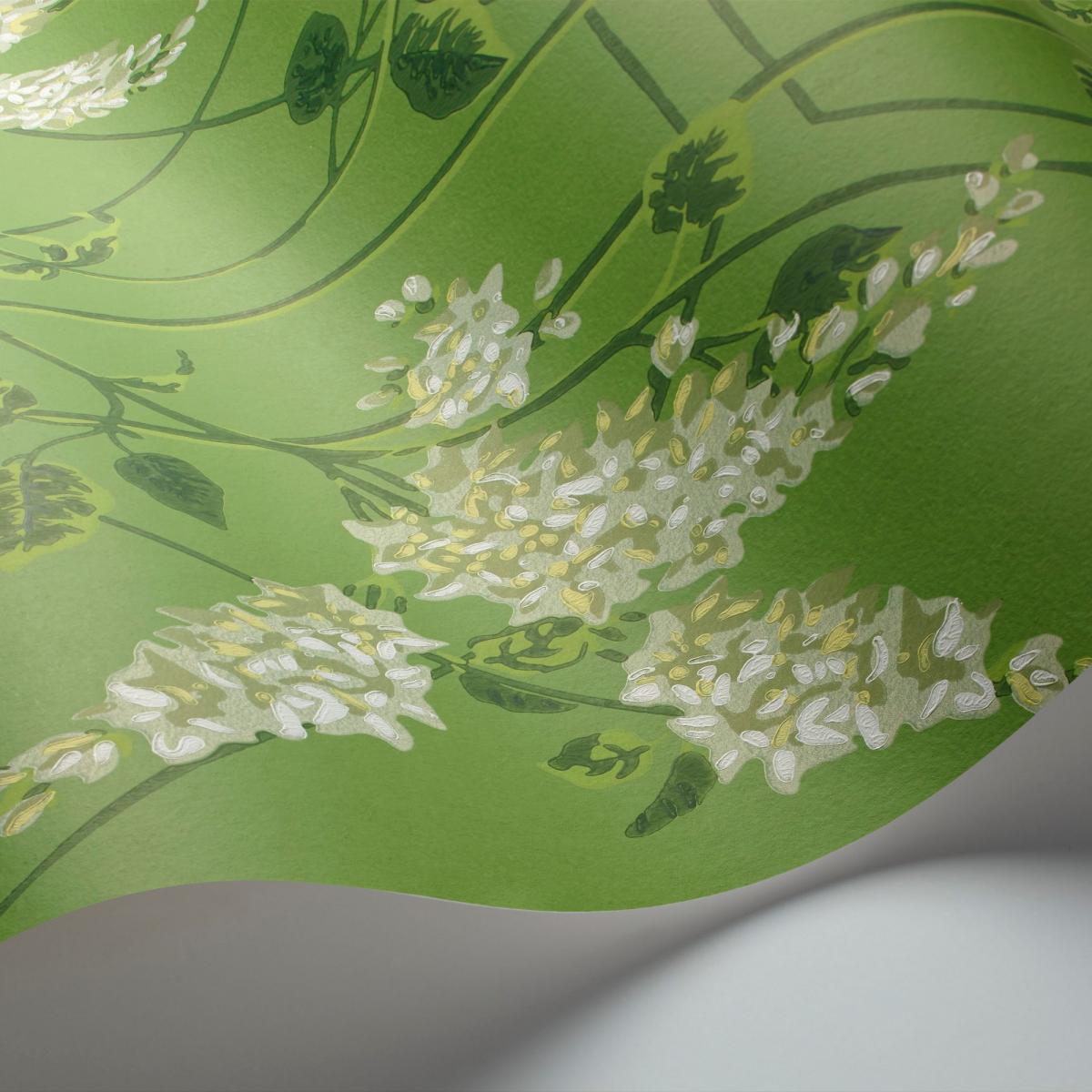Wisteria Wallpaper 5016 by Cole & Son in Sage Green Leaf Green Roll – image 2