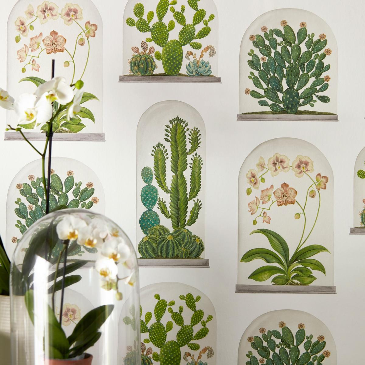 Terrariums Wallpaper 216655 by Sanderson in Chalk Green Roll – image 2