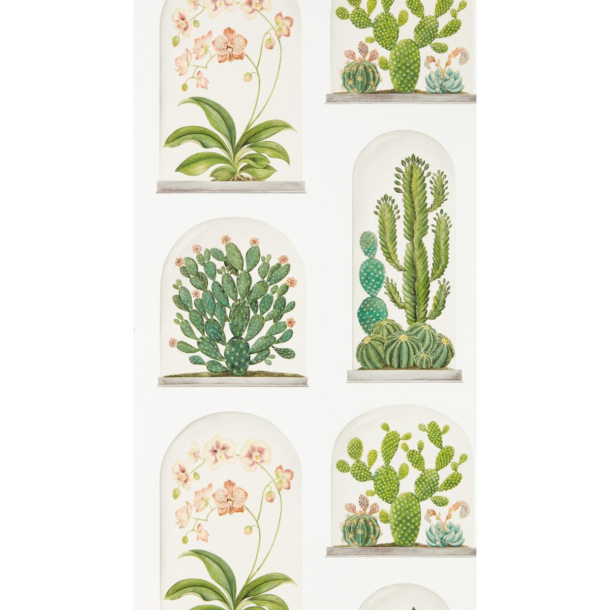 Terrariums Wallpaper 216655 by Sanderson in Chalk Green Roll – image 3