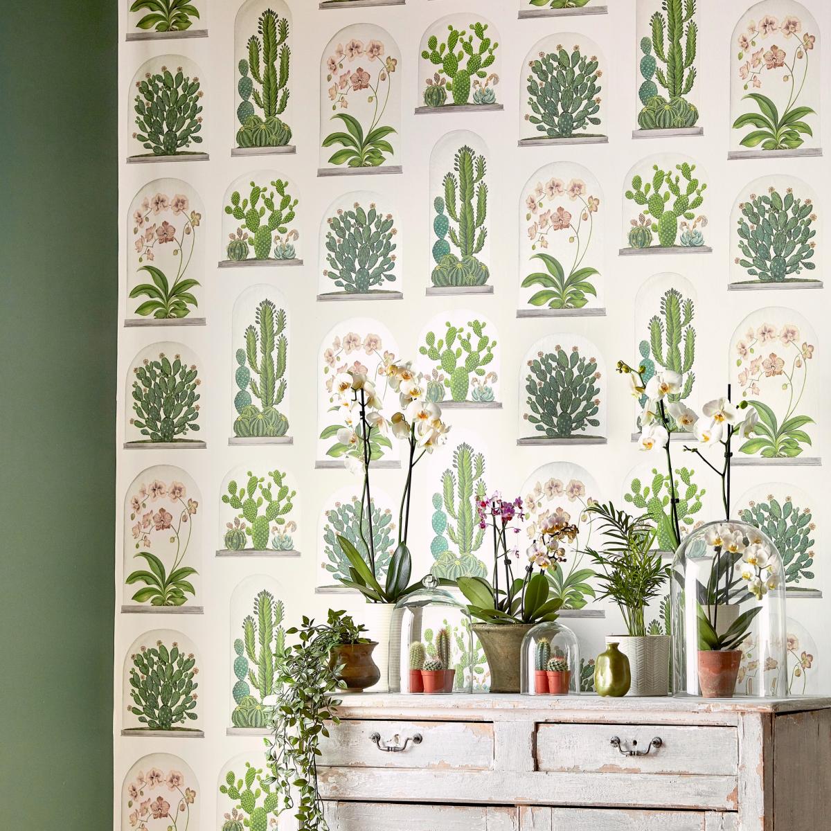 Terrariums Wallpaper 216655 by Sanderson in Chalk Green Roll – image 1