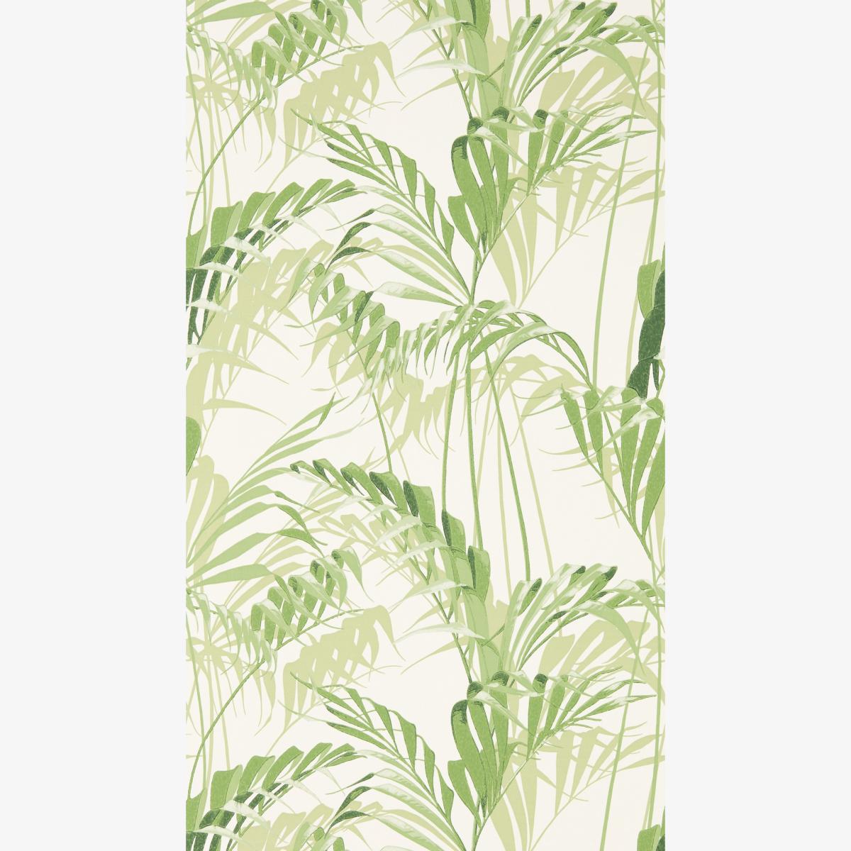 Palm House Wallpaper 216643 by Sanderson in Botanical Green Roll