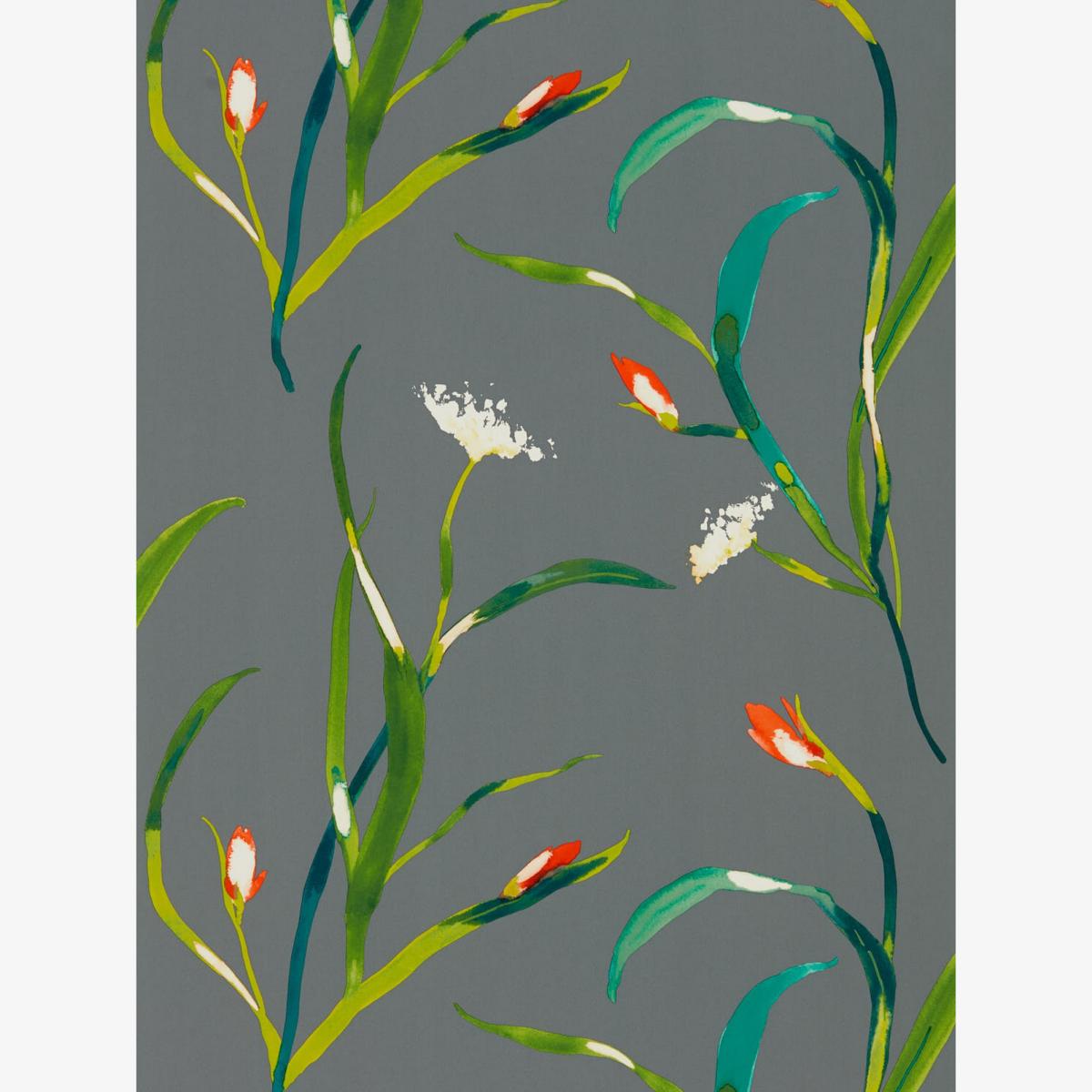 Saona Wallpaper 111758 by Harlequin in Papaya Silver GreyRoll