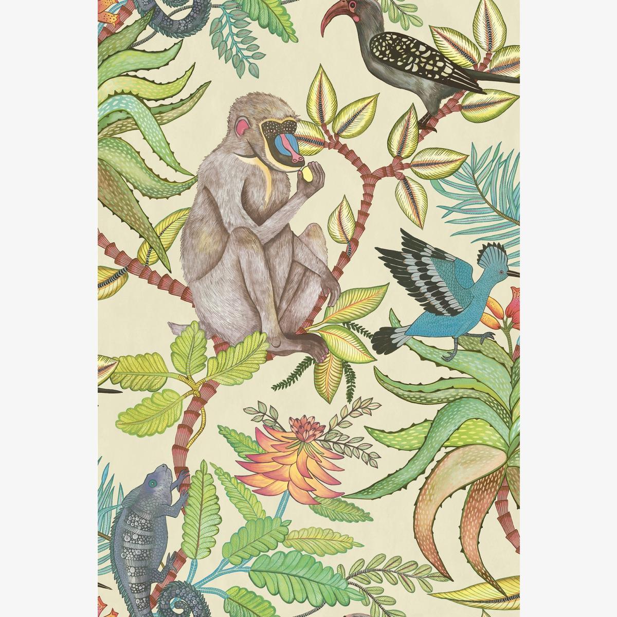 Savuti Wallpaper 1007 by Cole & Son in Bright MultiRoll