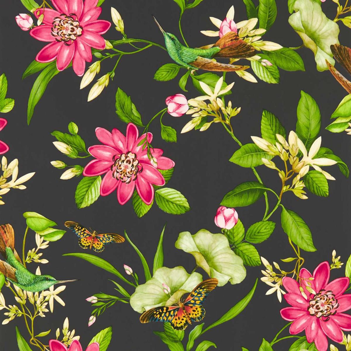 Pink Lotus Wallpaper W0132 03 by Wedgwood in Noir Black Roll